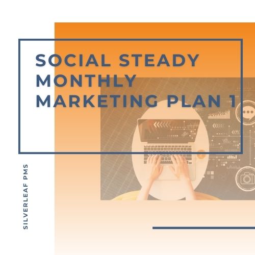 Social Steady Monthly Marketing Plan 1