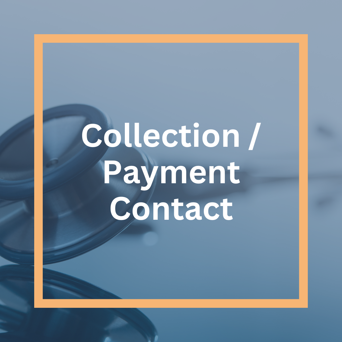 Collection / Payment Contact