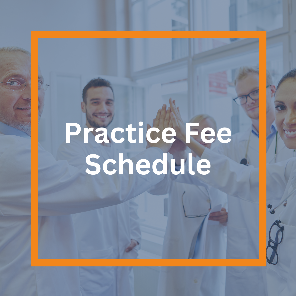 Practice Fee Schedule