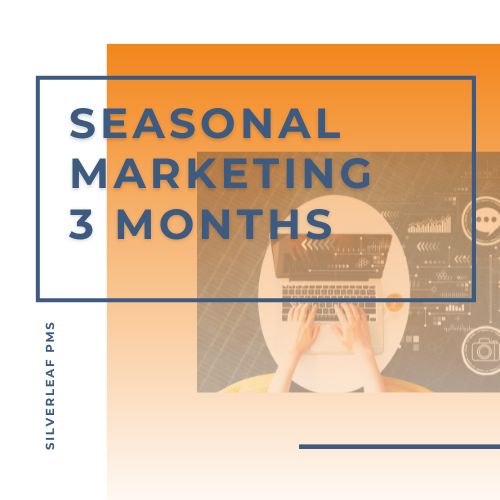 Seasonal Marketing Plan (3 Months)